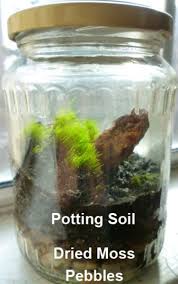 We did not find results for: How To Make A Terrarium In A Jar Dengarden