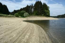 Der ottensteiner stausee ist der bekannteste und größte der waldviertler naturseen. Teichwirte Brauchen Eine Woche Regen Kurier At