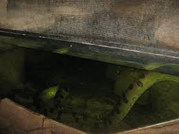 Randers is a city in randers municipality, central denmark region on the jutland peninsula. Randers Regnskov Skull Cave Anaconda Exhibit Zoochat