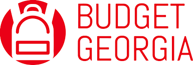 Budget Georgia — ლოგო