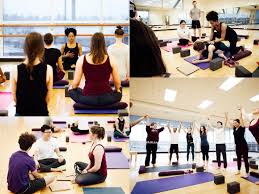 Yoga Teacher Training Recreation