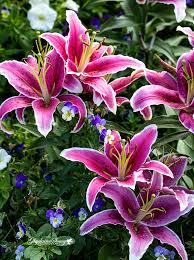 We did not find results for: Pin On Season Spring