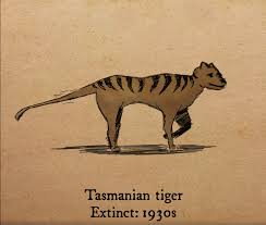 Species that went extinct in 2019. 18 Animals That Became Extinct In The Last Century Greenpeace Uk