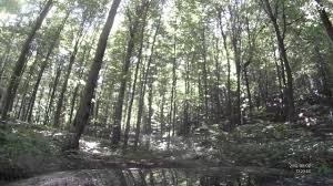 28 f henri coanda international airport station|report. Filipestii De Targ Destination Guide Prahova Romania Trip Suggest