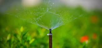 All you need is to attach the hose to the sprinkler, turn the water on, and that's all. Best Irrigation System For A Vegetable Garden Bed Gardening