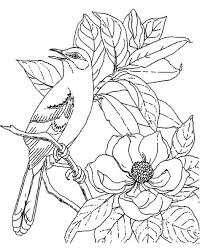 Free, printable coloring pages for adults that are not only fun but extremely relaxing. 33 Mockingbird Coloring Pages Ideas Coloring Pages Coloring Pictures Online Coloring