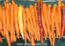 We did not find results for: How To Blanch And Freeze Carrots Gettystewart Com
