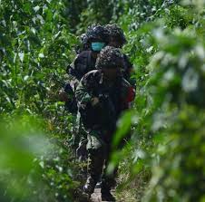 Menerjemahkan atau jelaskan bagi kita. Pin Oleh Carlota Joell Di Suga Tata Militer Tentara Gambar