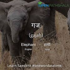 This is because long ago, the european nations had sukhi/sukhada: Different Names Of Animals Learn Sanskrit Open Pathshala