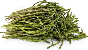 Image result for Asparagus devenishii