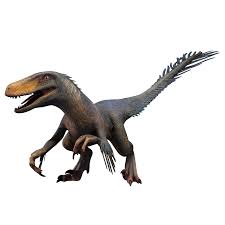Adults measured about 25 feet from head to tail and weighed in. Utahraptor Jurassic Park World Dinosaur Images Jurassic World Dinosaurs