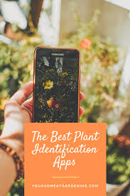 Best Plant Identification App Tested In 2020 Plant Identification App Plant Identification Plant App