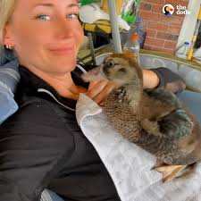 Monty's mom found him in the middle of the road when he was little 💔 Now  he demands cuddles every morning!