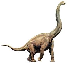 Brachiosaurus Brachiosaurus Dinosaur Prehistoric Animals