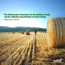 Pin By Jill Harker On Farmers Feed Us Farm Life Quotes Agriculture Quotes City Farm