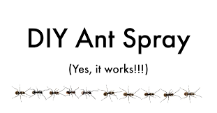 Where to put the bait. Diy Ant Spray Safe For Pets Get Green Be Well