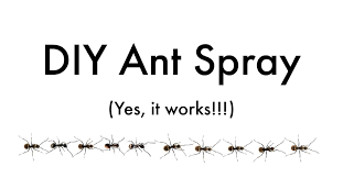 Most of the fire ant killers are poisons. Diy Ant Spray Safe For Pets Get Green Be Well