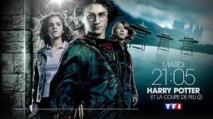 Les sortilèges sont exécutés sur un gros insecte, on a mal pour lui, il se fait tuer. Harry Potter Et La Coupe De Feu 3 Choses A Savoir Sur Le Film De Tf1 Ce Soir Video Stars Actu