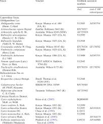 Image result for Hypolytrum goetghebeur