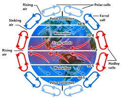 the water cycle, weather, and climate