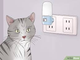It is a sound that can grate almost as much as someone dragging their fingernails cats meow for a variety of reasons, and it all comes down to one thing: 4 Ways To Get A Cat To Stop Meowing Wikihow
