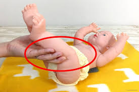 ninaru ポッケ（ニナル ポッケ）