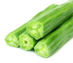 Image result for moringa tree benefits for health