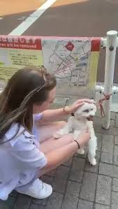 היי שמי זלטה,מראש העין , אם אתם מחפשים דוג ווקר/דוגסיטר/קקטסיטר בראש העין,  איזור *פסגות אפק* מוזמנים לפנות אליי.