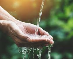 Como Cuidar El Agua 10 Acciones Para Contribuir Gourmet