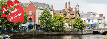 In addition to our veterinarian pet care, neutering, spaying and vaccination services. Pet Lovers Guide To Sligo Sligo Pet Sitter Sligo Dog Walker