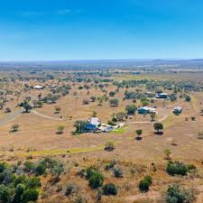 Mid-Year Real Estate Market Report Now Available! Click "Learn More" for  the full report. WWW.MIKESTARKS.COM