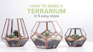 We picked different shapes, colors, and sizes. How To Make A Terrarium In 5 Easy Steps Proflowers