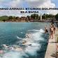 22nd Annual St.Croix Dolphins' Sea Swim event in Frederiksted