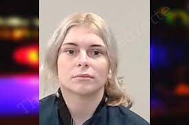 Heather Baldwin — Lowndes County Jail Bookings