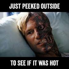 42 Hot Weather Memes That Ll Help You Cool Down Sayingimages Com Summer Memes Funny Summer Memes Weather Memes
