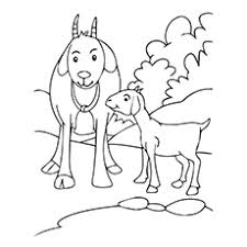 Maybe you would like to learn more about one of these? Top 25 Free Printable Goat Coloring Pages Online