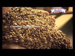 Kalau mengikut ranking, sudah semestinya roti putih biasa gardenia yang terbawah, diikuti dengan roti wholemeal with sunflower seeds, dan yang pertama sekali, 100% wholegrain with canadian purple wheat. Gardenia Wholegrain With Canadian Purple Wheat Youtube