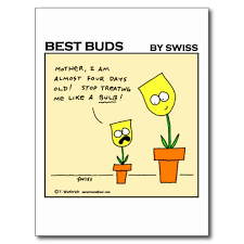 Funny quotes about flowers and love. Funny Flower Quotes Quotesgram