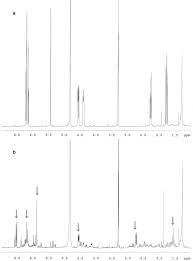 Image result for Campylospermum densiflorum