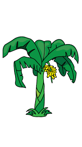 Another Tutorial In Flowers And Plants Category Is A Banana Tree Http Drawingmanuals Com Manual How To Draw A Banana Tree Drawing Flower Drawing Banana Tree