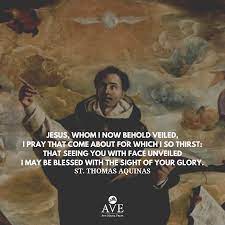 Happy Feast Day Of St Thomas Aquinas St Thomas Was Known For His Intellect And Love For Jesus Learn More Abou Saint Thomas Aquinas Thomas Aquinas St Thomas