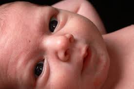 Dan Schuler Photography