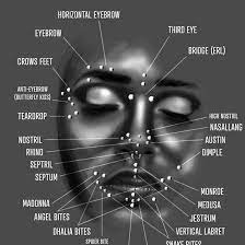 face piercing chart black and white piercing chart face piercings facial piercings