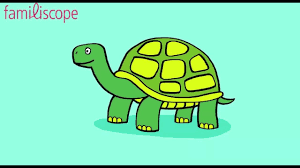 Apprendre à dessiner une tortue. - YouTube