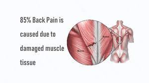 If you were pretty fit before you were sidelined by injury or took some time off, once you're released to go back to activity you will regain that muscle mass. Muscle Strain Treatment Back Neck Muscle Strain Treatment Causes