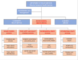 effective process management for health care systems