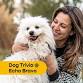 Dog Trivia @ Echo Bravo – October 22, 2025 event image