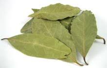 They speak with accent and dialects. Bay Leaves Products Malaysia Bay Leaves Supplier