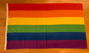 We brengen de regenboogvlag naar olympische spelen en laten ons niet uit het veld slaan door regels. Regenboogvlag Groot Savannah Bay