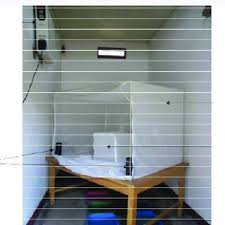 Image result for Kotschya aeschynomenoides